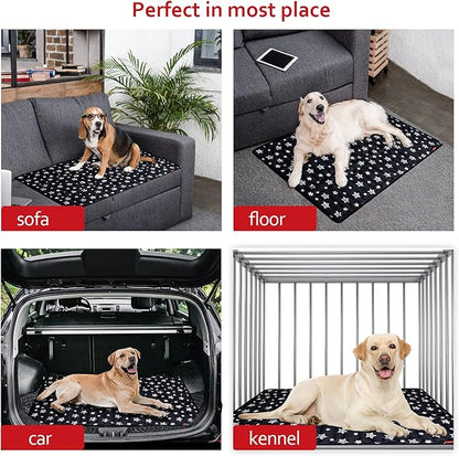 PetSafe 36" x 23" Soft Dog Bed Mat, Cute Prints, Personalized, Anti-Slip, Machine Washable Kennel Pad