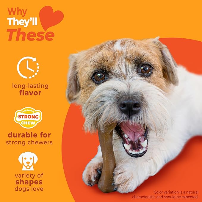 Nylabone Strong Chew Toy 4-Pack Bundle for Dogs Made with Real Bacon, Bison, Venison, Beef, & Chicken, Durable Dog Chew Bones for Aggressive Chewers, Small Dog Toys - Up to 25 lbs, 4 Count