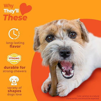 Nylabone Strong Chew Toy 4-Pack Bundle for Dogs Made with Real Bacon, Bison, Venison, Beef, & Chicken, Durable Dog Chew Bones for Aggressive Chewers, Small Dog Toys - Up to 25 lbs, 4 Count