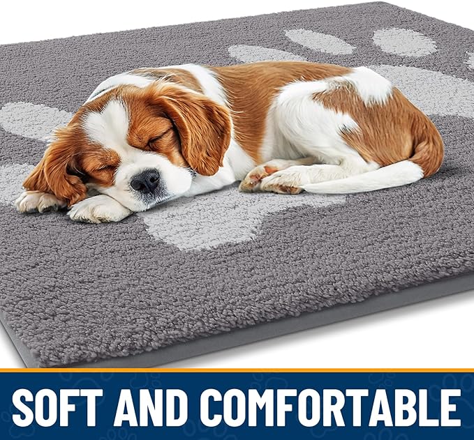 Smiry Dog Door Mat for Muddy Paws, Absorbs Moisture and Dirt, Low-Profile Entryway Mat with Non-Slip Backing, Entry Indoor Outdoor Doormat for Inside Floor (47x24 Inches, Light Grey, Paw)