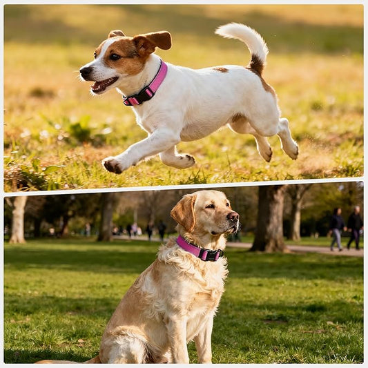 Reflective Dog Collar with Quick Release Buckle - Metal Ring - Adjustable Soft Neoprene Padded Basic Dog Collar for Small Medium Large Dogs (Hotpink, Medium :Width 1",Neck 13.8-19.6")