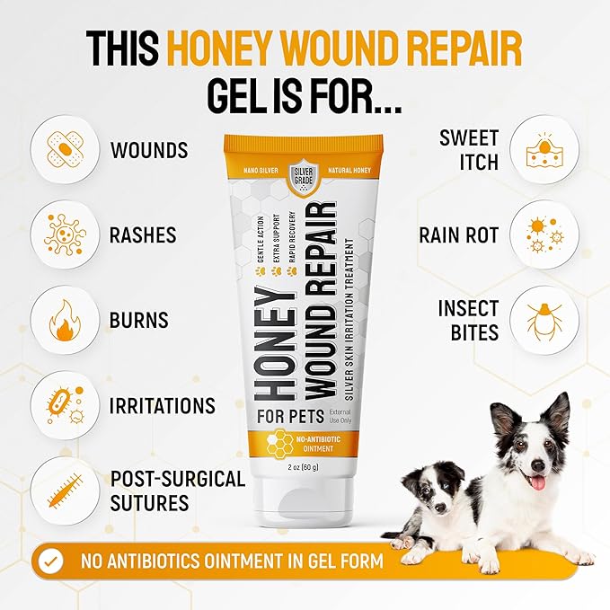 Dog Wound Care with Honey & Colloidal Silver for Scratches & Skin Irritations – Cat & Dog Hot Spot Treatment Gel Works as Honey Rapid Wound Repair for Horses – Suits All Pet Ages & Breeds – 2-Oz Tube