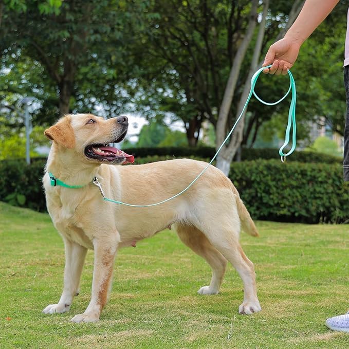 Waterproof Dog Collar, Easy to Clean Rubber Dog Collars with Quick Release Buckle Fits Small Medium or Large Dogs (Mint Green, M < 11.8-18.5 inch)