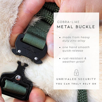 Made to ROAM Premium Explorer Control Collar - Adjustable Heavy Duty Nylon Dog Collar with Quick-Release Metal Buckle and Handle (Washington Rain, Control Size 2.5)