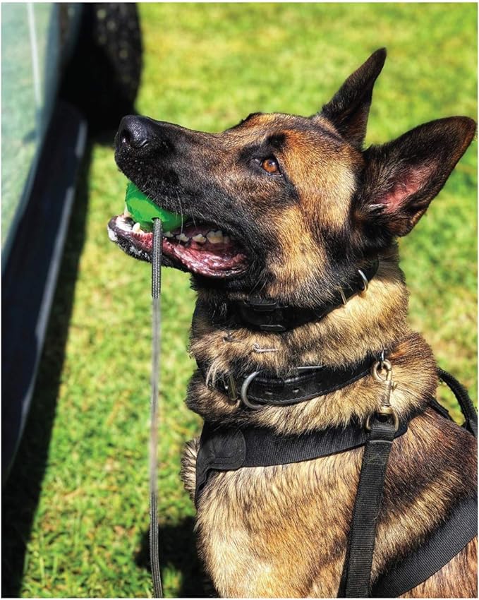 K9 Ops Dog Ball on a Rope Moki Tug Toy - Solid Rubber Fetch Training Reward - Large Dogs Tugs Durable Aggressive Chewers (Envy Green, MD/LG)