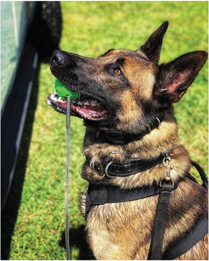 K9 Ops Dog Ball on a Rope Moki Tug Toy - Solid Rubber Fetch Training Reward - Large Dogs Tugs Durable Aggressive Chewers (Envy Green, MD/LG)