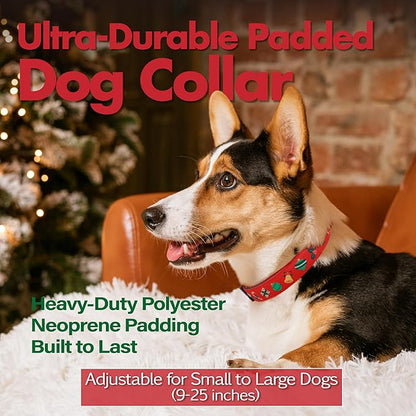 Christmas Dog Collar, Cute Holiday Red Collars for Girl & Boy, Reflective,Soft Padded Neoprene,Fully Adjustable,Durable & Lightweight Medium Dog Collar, (Christmas, M)