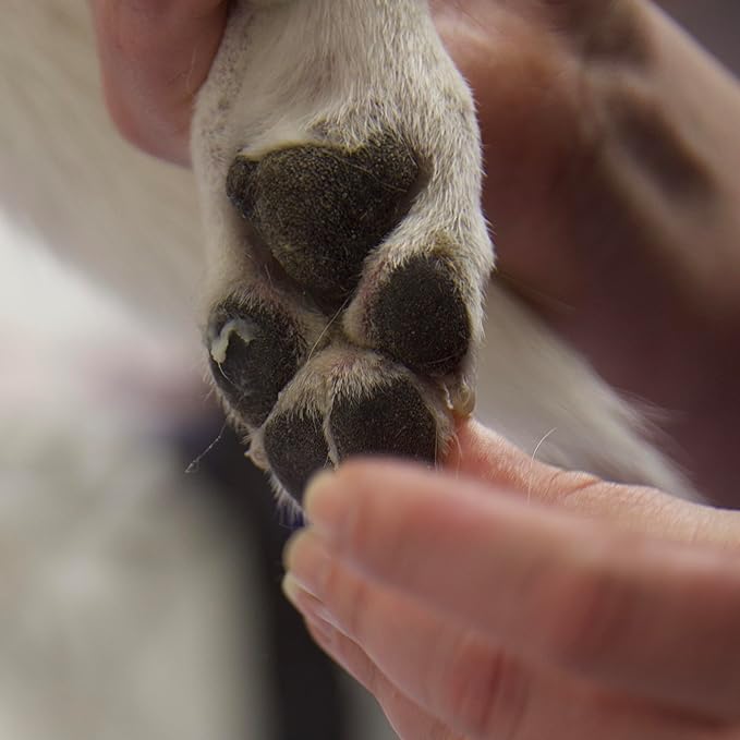 Dog Paw Balm – All Natural Pad Moisturizer for Dogs, Lick Safe Paw Wax for Dry Cracked Paws, Nose & Elbow Protection, Winter & Hot Pavement Relief
