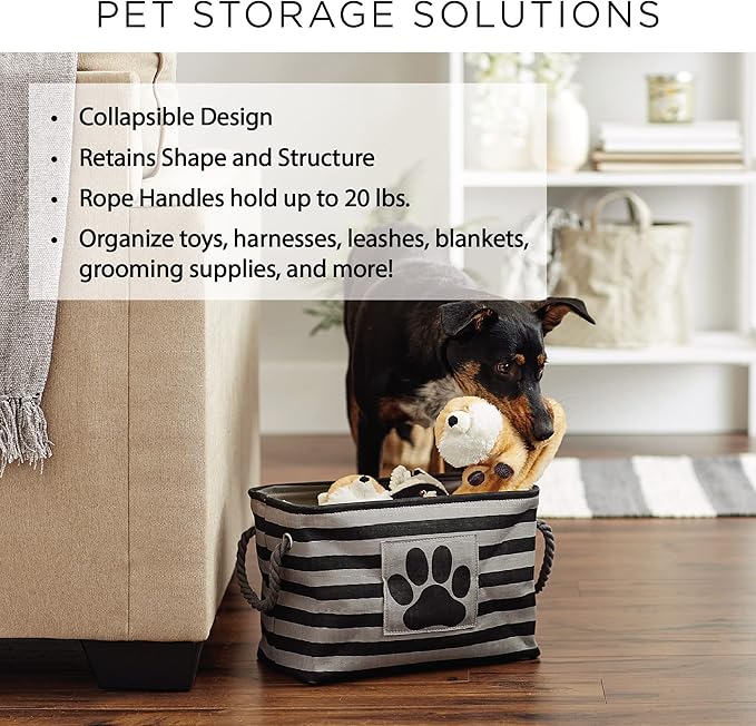 Bone Dry Pet Storage Paw and Bone, Trellis Collection, Small Rectangle, 14x8x9, Pink