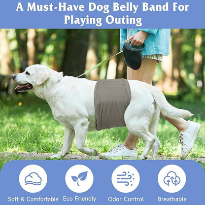 5 Pack Dog Diapers Male Reusable, Premium Belly Bands for Dogs, High Absorbing Male Dog Pee Wraps for Doggie in Incontinence or Excitable Urination Green XL