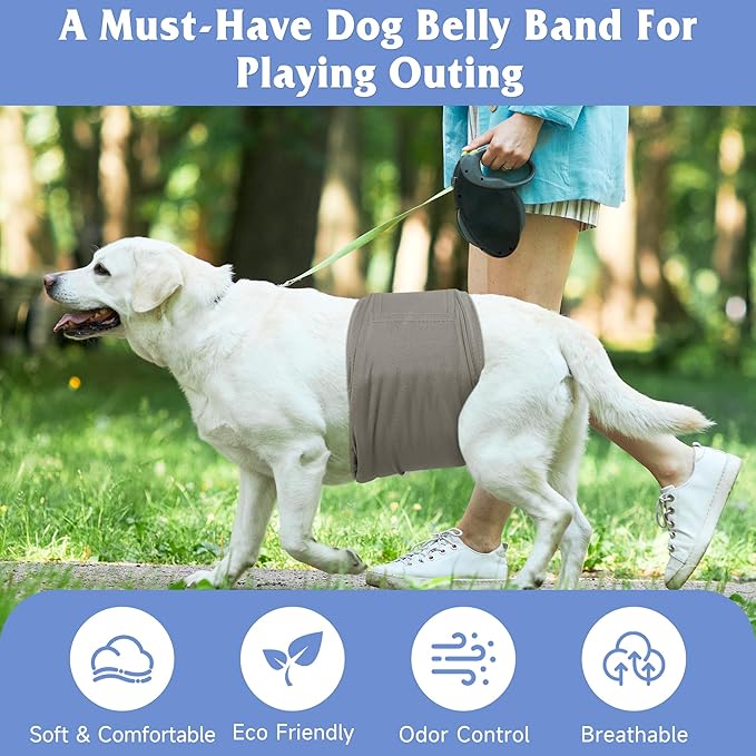 5 Pack Dog Diapers Male Reusable, Premium Belly Bands for Male Dogs, High Absorbing Dog Pee Wraps for Doggie in Incontinence or Excitable Urination and Training Green L