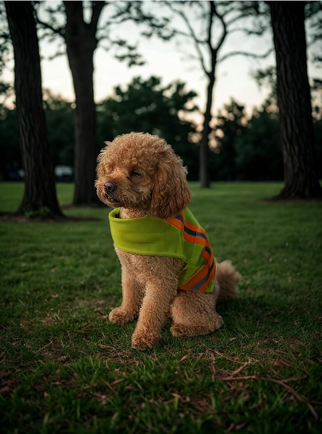 Reflective Dog Vest. High Visibility Yellow Safety Vest for Outdoors. Safeguard Your Dog with Easy to wear Adjustable and Breathable Reflective Gear (Small)