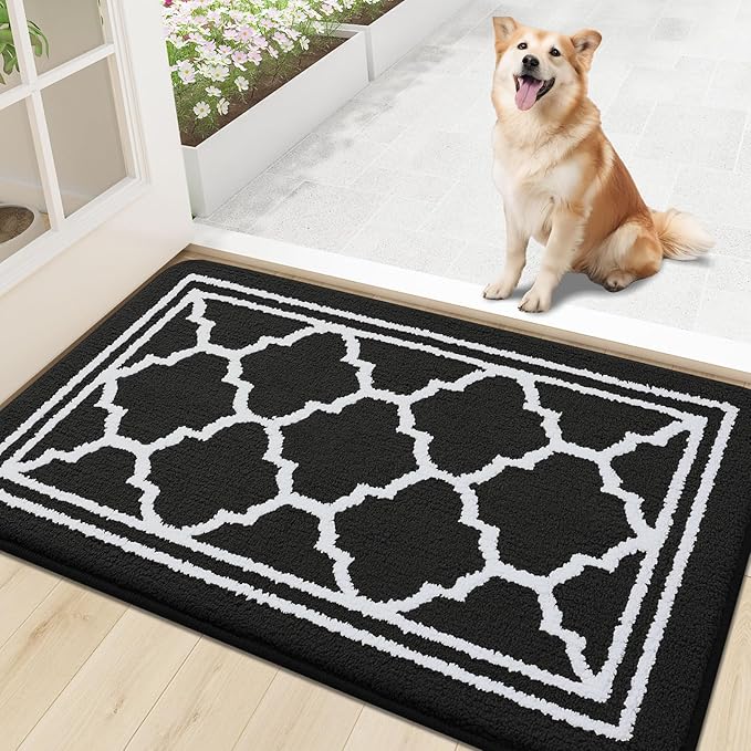 Buganda Indoor Door Mat, Dirt-Resistant and Absorbent Doormat, Anti-Slip, Low Profile Floor Mats for Inside Entryway, Front, and Back Door Entrance (30x17 Inches, Black)