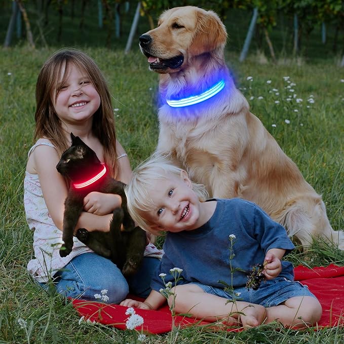 LED Lighted Reflective Dog Collar for Night Safety, USB Rechargeable, Glow Collar for Dogs, Waterproof, Adjustable Flashing (Pink, Small)