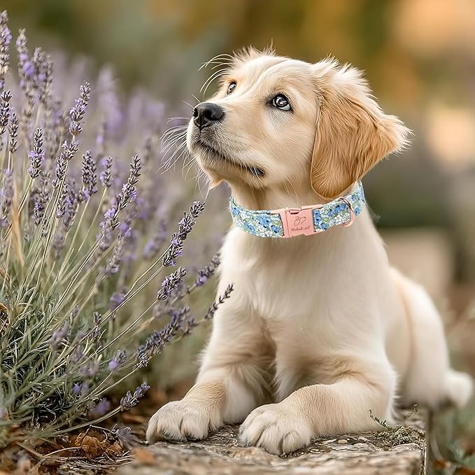 Blueberry Garden Dog Collar, Spring/Summer Cottagecore Floral Dog Collars, Adjustable Heavy Duty Girl Dogs Collar for Small Medium Large Dogs with Metal Buckle XS