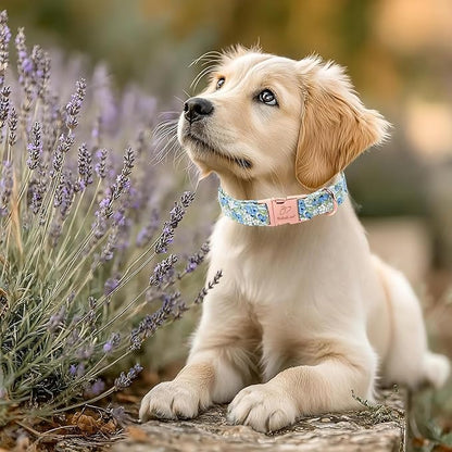 Blueberry Garden Dog Collar, Spring/Summer Cottagecore Floral Dog Collars, Adjustable Heavy Duty Girl Dogs Collar for Small Medium Large Dogs with Metal Buckle L