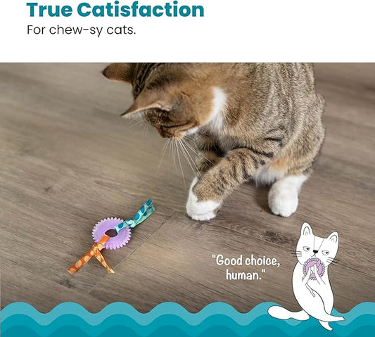 Catstages Kitty Chew Wheel, Dental Cat Toy with Catnip Oil, Teeth Cleaning, Healthy Chewing, Boredom Relief, Kicking & Batting for Kittens and Adult Cats, Purple (Pack of 2)