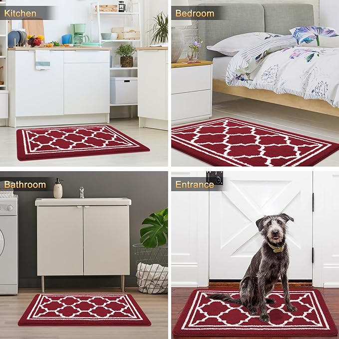 Buganda Indoor Door Mat, Dirt-Resistant and Absorbent Doormat, Anti-Slip, Low Profile Floor Mats for Inside Entryway, Front, and Back Door Entrance (48x32 Inches, Burgundy)
