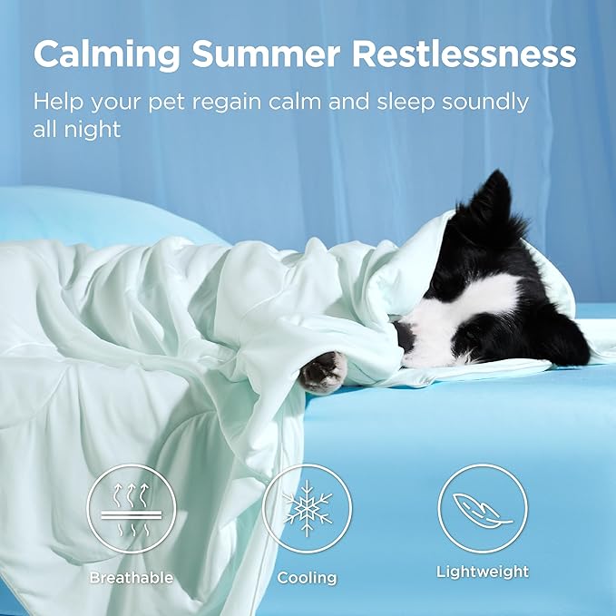 Bedsure Cooling Blanket for Bed with Breathable Air-Core Fill Q-MAX>0.4 - Lightweight Pet Cat Throw Cold Blanket Washable for Summer，Soft Dog Cooling Mat for Couch, Pale Jade, 60x80
