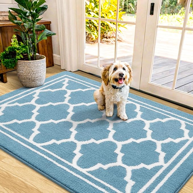 Buganda Indoor Door Mat, Dirt-Resistant and Absorbent Doormat, Anti-Slip, Low Profile Floor Mats for Inside Entryway, Front, and Back Door Entrance (48x32 Inches, Lake Blue)
