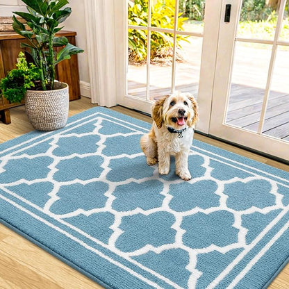 Buganda Indoor Door Mat, Dirt-Resistant and Absorbent Doormat, Anti-Slip, Low Profile Floor Mats for Inside Entryway, Front, and Back Door Entrance (48x32 Inches, Lake Blue)