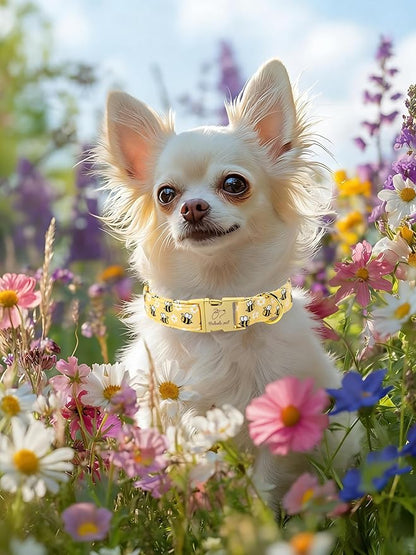 Yellow Bee Dog Collar, Cute Spring/Summer Cartoon Boy Girl Dog Collars, Adjustable Heavy Duty Male Female Dogs Collar for Small Medium Large Dogs with Metal Buckle L