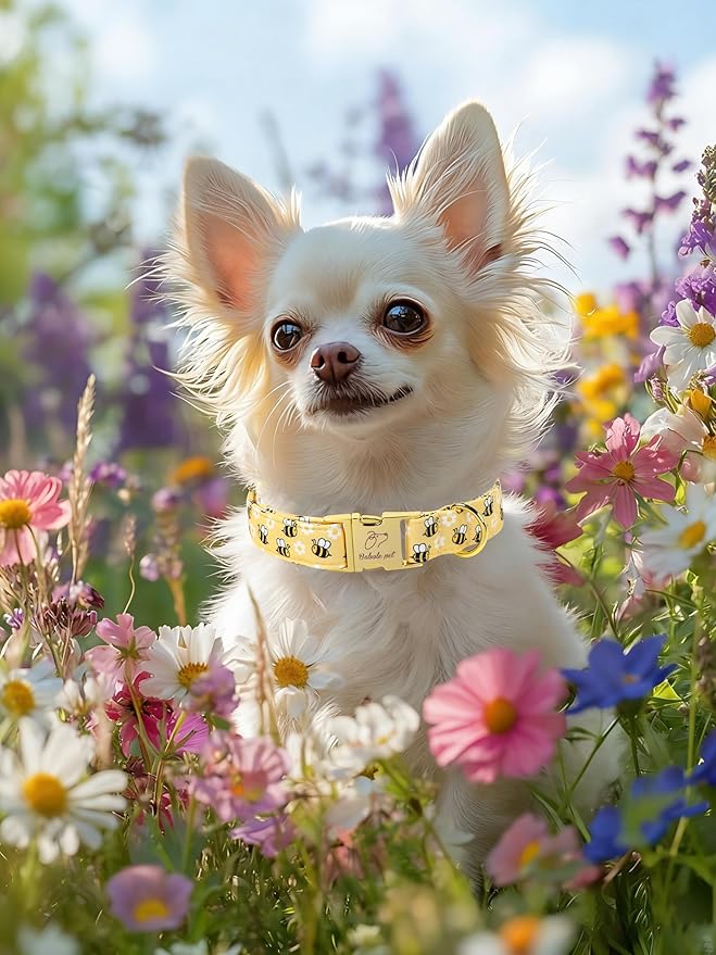 Yellow Bee Dog Collar, Cute Spring/Summer Cartoon Boy Girl Dog Collars, Adjustable Heavy Duty Male Female Dogs Collar for Small Medium Large Dogs with Metal Buckle XS
