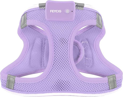 Light Up Dog Harness,Rechargeable LED Dog Harness for Small Medium Large Dogs,Reflective Lighted Safety Vest for Night Walking & Camping,Lightweight & Adjustable,Lavender Purple,XS
