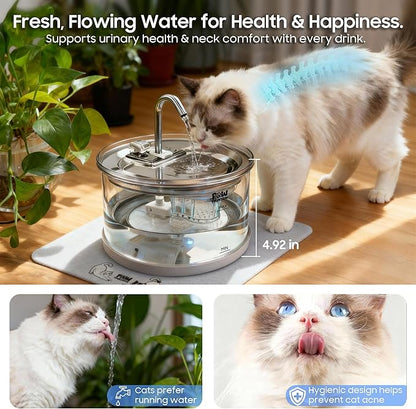 Ultra-Quiet Clear Glass Pet Fountain - 70oz/2.1L for Small Dogs & Cats,Automatic Water Dispenser with 3-Stage Filter & 3 Spray Heads | Dishwasher Safe,Indoor Use