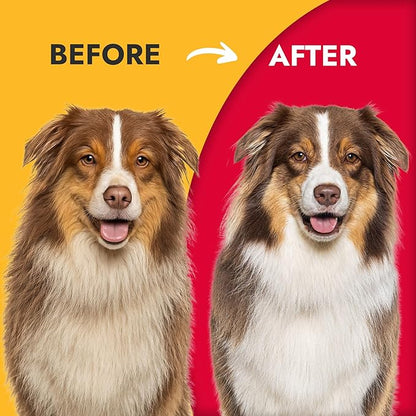 KONG Double-Sided Rake & Deshedding Tool – Detangling & Shedding Control, Rounded Metal Tips, Non-Slip Grip, for Medium to Large Dogs with Medium to Long Coats, Red/Gray