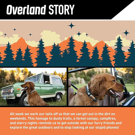 Wolfgang Heavy Duty, Adjustable Dog Collar with Quick Release Nylon Buckle for Walking & Training, Overland Print, Large