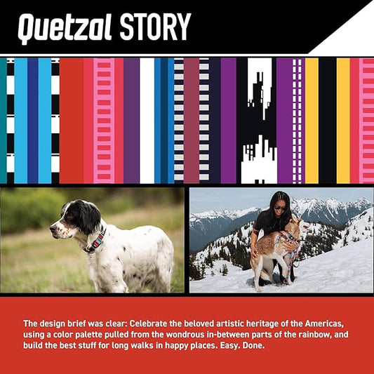 Wolfgang Heavy Duty, Adjustable Dog Collar with Quick Release Nylon Buckle for Walking & Training, Quetzal Print, Medium