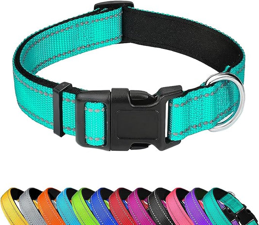 Reflective Dog Collar, Adjustable Soft Neoprene Padded Nylon Pet Collars with Buckle for Puppy and Small Dogs, Cats, Teal,XS