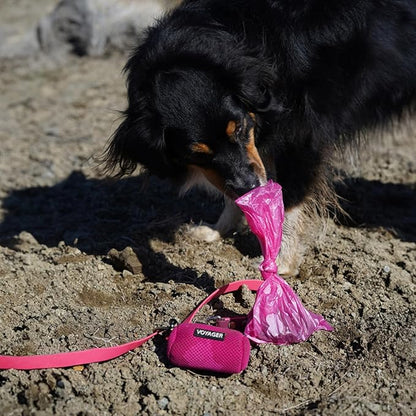 Best Pet Supplies Dog Poop Bags (360 Bags) for Waste Refuse Cleanup, Doggy Roll Replacements for Outdoor Puppy Walking and Travel, Leak Proof and Tear Resistant, Thick Plastic - Pink Heart
