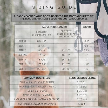 Made to ROAM Premium Explorer Control Collar - Adjustable Heavy Duty Nylon Dog Collar with Quick-Release Metal Buckle and Leather Handle (California Horizon, Size 2, Control)