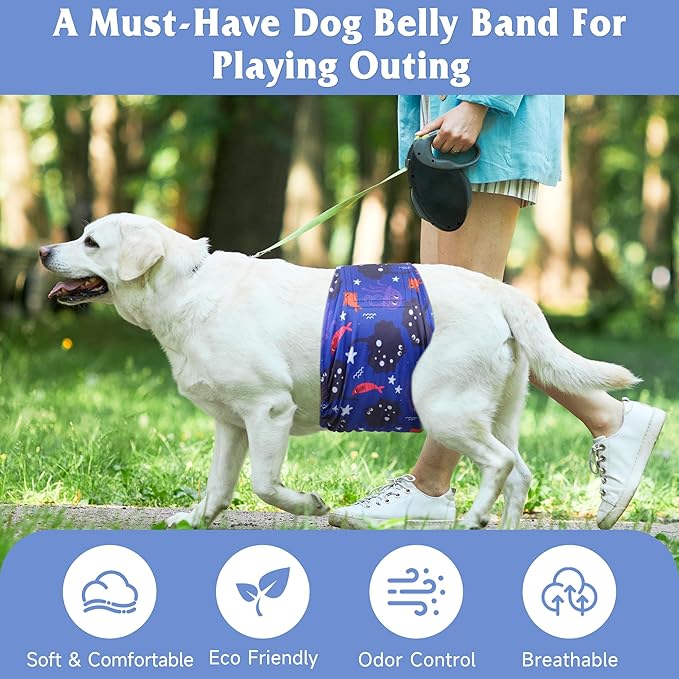 5 Pack Dog Diapers Male Reusable, Premium Belly Bands for Dogs, High Absorbing Male Dog Pee Wraps for Doggie in Incontinence or Excitable Urination Dinosaur S
