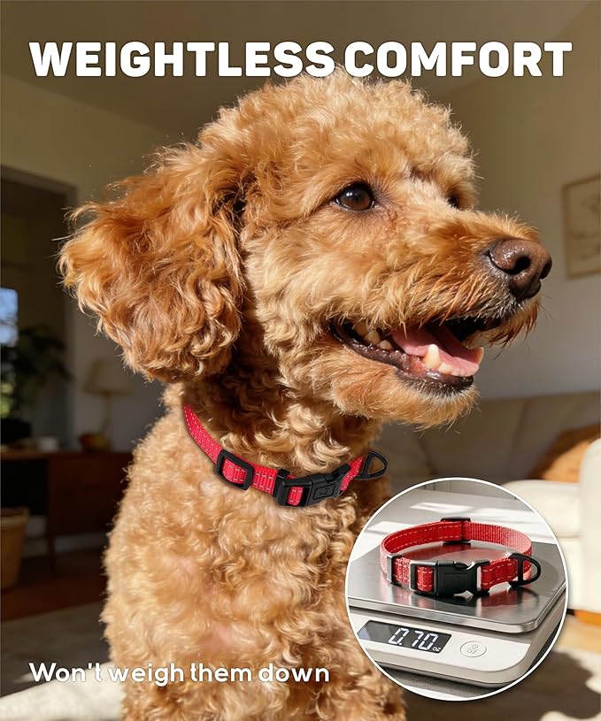 TagME Reflective Nylon Dog Collars, Adjustable Classic Pet Collar with Quick Release Buckle for Extra Small Dogs, Hot Pink, 5/8" Width