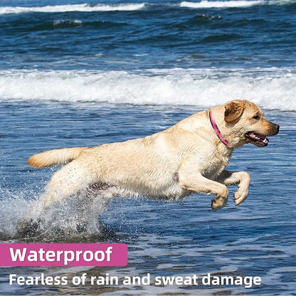 Light Up Dog Collar: Rechargeable Waterproof Safety Pet Accessories - Glow in The Dark Dogs Collars for Night Walking - Best Flashing Neon Pink Lights and Glowing Lighted Gear in Nite Time