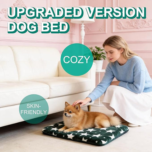 Washable Dog Bed Mat with Anti-Slip Bottom, Deluxe Plush Memory Foam Crate Pad & Waterproof Outdoor Kennel Mat for Dogs & Cats-Durable Crates Beds, Large Medium Small Puppy Size24 x 18",Green