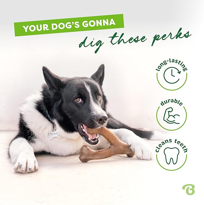 Large 3-Pack, Benebone Wishbone Durable Dog Chew Toy for Aggressive Chewers, Real Bacon, Chicken, Peanut Butter, Made in USA, Variety Pack