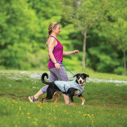 Kurgo Dog Core Cooling Vest - Summer Cooling Jacket - Evaporative Cooling Coat - Harness-Compatible - Reflective Accents - Grey - Large