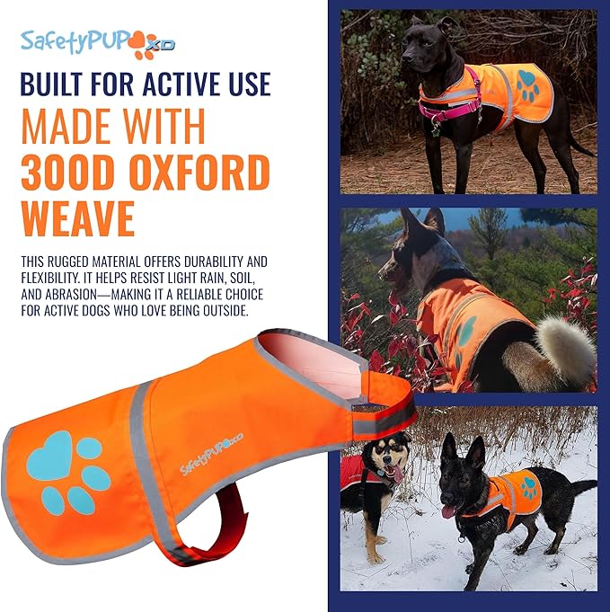 SafetyPUP XD Reflective Dog Vest. Hi-Visibility, Fluorescent Blaze Orange Dog Vest Helps Protect Your Best Friend. Safeguard Your PUP from Motorists & Hunting Accidents, On or Off Leash (X-Large)