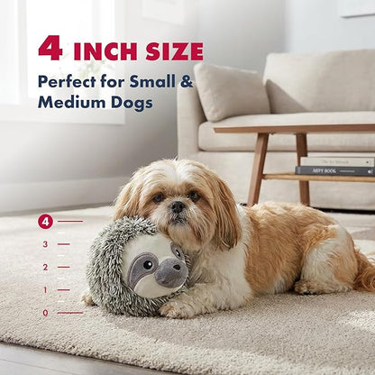Pet Lou 4 Inch Squeaky Sloth Ball Dog Plush Toy, Stuffing-Free Soft Plush, Durable Bouncy Squeaker Ball, Floats in Water, Small & Medium Breed Chew Toys