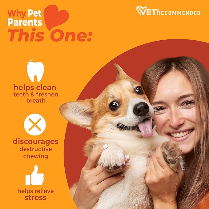 Nylabone Original Bone Strong Chew Toy for Dogs Made with Real Chicken, Durable Dog Chew Bones for Aggressive Chewers, Long-Lasting Flavor Keeps Dogs Busy, Small Dog Toys - Up to 25 lbs, 1 Count