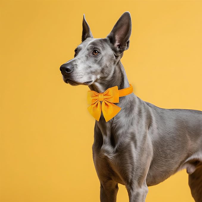 Maca Bates Mango Yellow Dog Collar with Cute Solid Sailor Bow Tie for Small Girl Boy Dogs,Adjustbale Durable Breakaway Soft Collars with Bowtie for Female Male Puppy,Pet with Metal Buckle