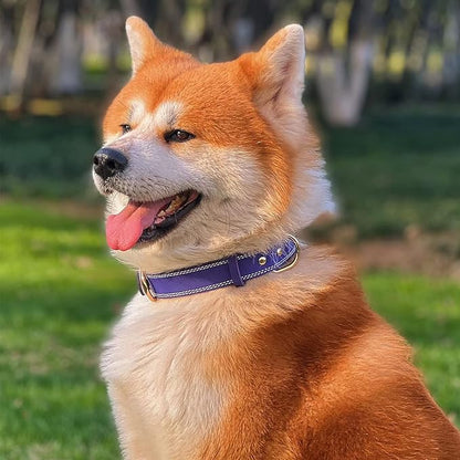 Genuine Leather Dog Collar, Heavy Duty Wide Dog Collar for Small, Medium, Large and Extra Large Dog (S: 0.8" Wide for 13.4"-15.8" Neck, Dual Stitch - Purple)