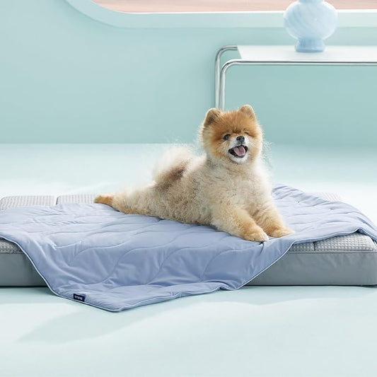 Bedsure Premium Cooling Blanket for Small Dog - Q-MAX>0.5, Breathable Summer Washable Cold Pet Throw Blanket, Soft Durable Self Cooling Cat Mat for Hot Weather, Powder Blue, 25x35