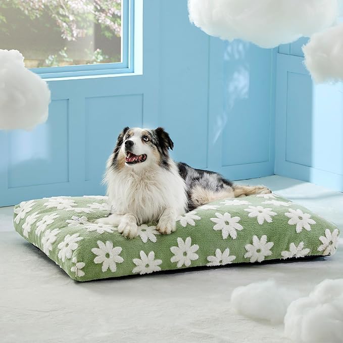 LE SURE XLarge Dog Bed-Thick Shredded Chopped Foam Pet Bed as Gift for Indoor with Removable Cover, Cute Modern Fuzzy Plush & Anti Slip Bottom, Green