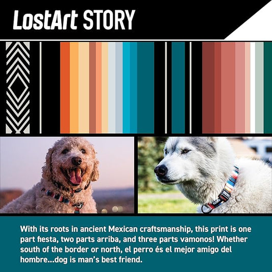 Wolfgang Heavy Duty, Adjustable Dog Collar with Quick Release Nylon Buckle for Walking & Training, LostArt Print, Large