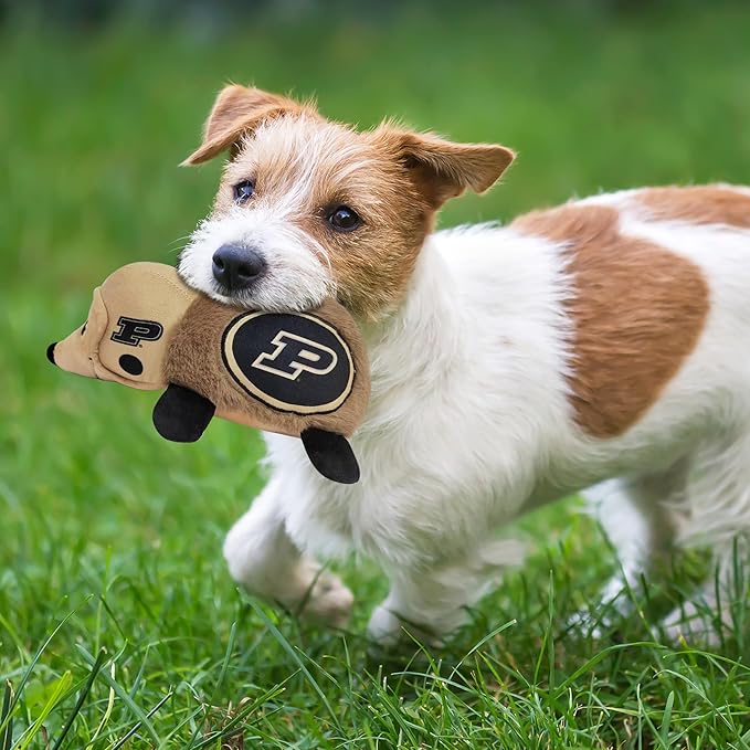 NCAA Purdue Boilermakers Plush Hedgehog Toy for Dogs & Cats, Cool Soft Pet Toy for Fun and Interactive Play, Dog Chew Toy with Squeaker, Licensed Hot Pet Toy